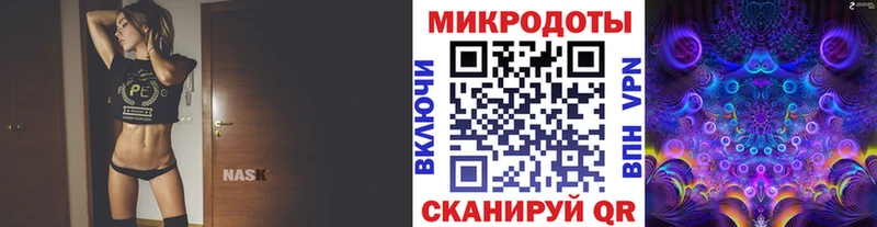 Купить закладки  Цивильск  Псилоцибиновые грибы Psilocybe 